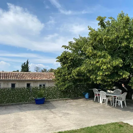 Sous Le Tilleul