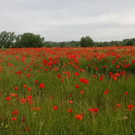 Séjour chez l'habitant Sous Le Tilleul Saint-Maurice-de-Cazevieille