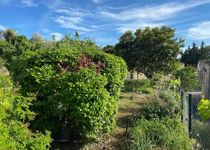 Sous Le Tilleul * Saint-Maurice-de-Cazevieille